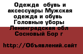 Одежда, обувь и аксессуары Мужская одежда и обувь - Головные уборы. Ленинградская обл.,Сосновый Бор г.